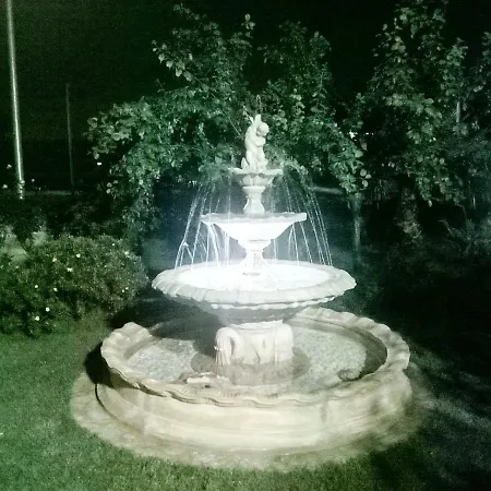 Garden *