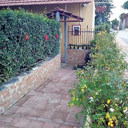 Garden 4*