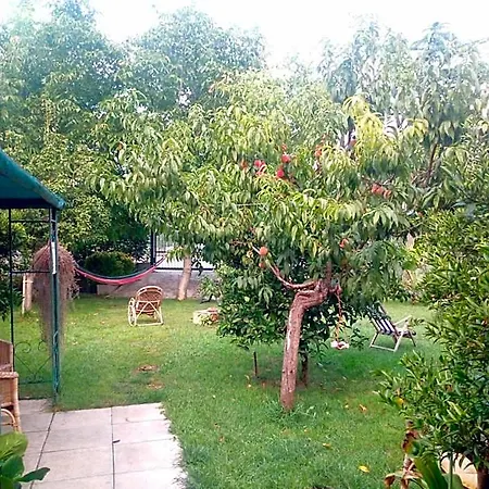 Garden Pompeji