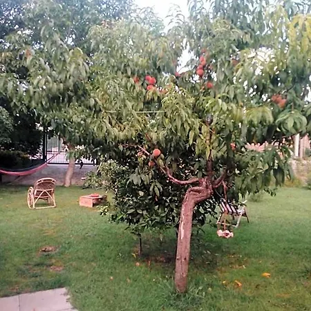 Garden 4*