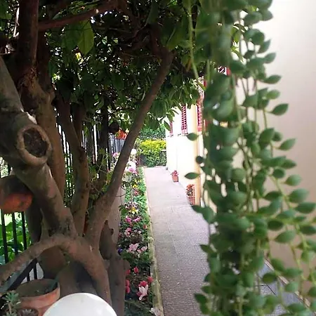 Garden Panzió